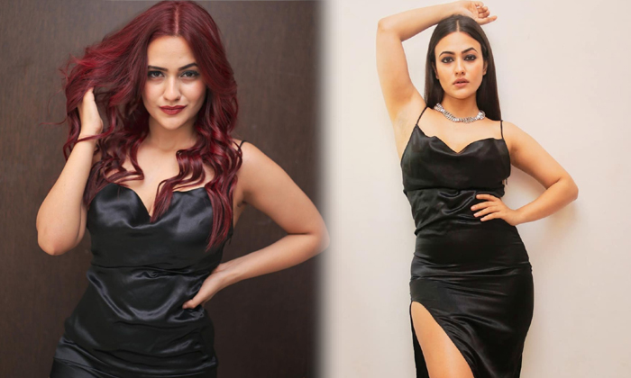 Bollywood Stunning Beauty Aahna Sharma Amazing Clicks-telugu Actress Photos Bollywood Stunning Beauty Aahna Sharma Amazi High Resolution Photo