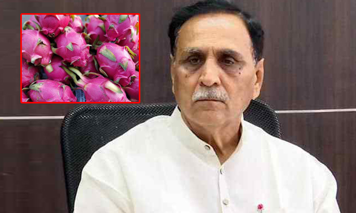 Telugu Bjp Parety, Changed, Dragon Fruit, Dragonfruit, Gujaratcm, Kamalam-Latest