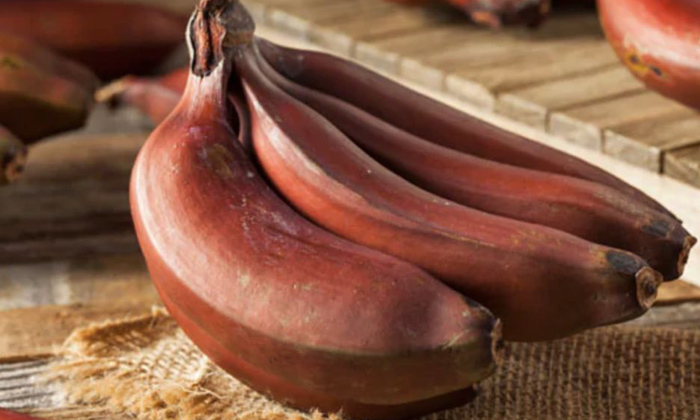  Red Bananas Help To Reduce Kidney Stones! Red Bananas, Kidney Stones, Kidney Hea-TeluguStop.com