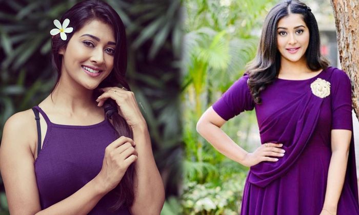 Kollywood Actress Pooja Jhaveri Captivating Clicks - Pooja Jhaveri Poojajhaveri High Resolution Photo