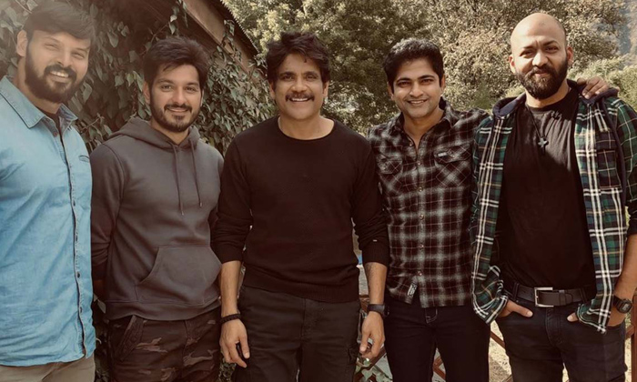  Nag’s ‘wild Dog’ Not Following The Tradition-TeluguStop.com