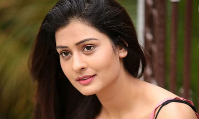 Payal Rajput Special Song In ‘maha Samudram’ Payal Rajput Special Song In ‘maha Samudram’-TeluguStop.com