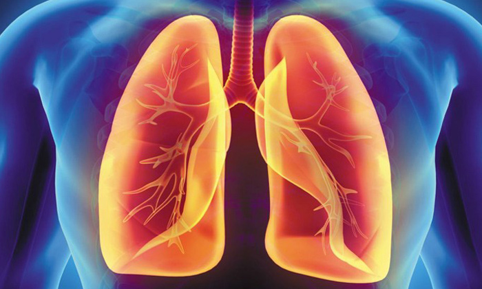  Tips For Healthy Lungs, Lungs, Oil, Leafy Vegetables, Quit Smoking And Drinking,-TeluguStop.com