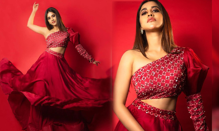 Tollywood Beauty Nabha Natesh Trendy Photoshoot-telugu Trending Latest News Updates Tollywood Beauty Nabha Natesh Trendy High Resolution Photo