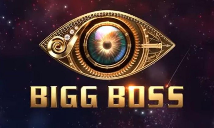  Bigg Boss Contestants Earning Lakhs Of Rupees , Big Boss Contestants, Big Boss S-TeluguStop.com