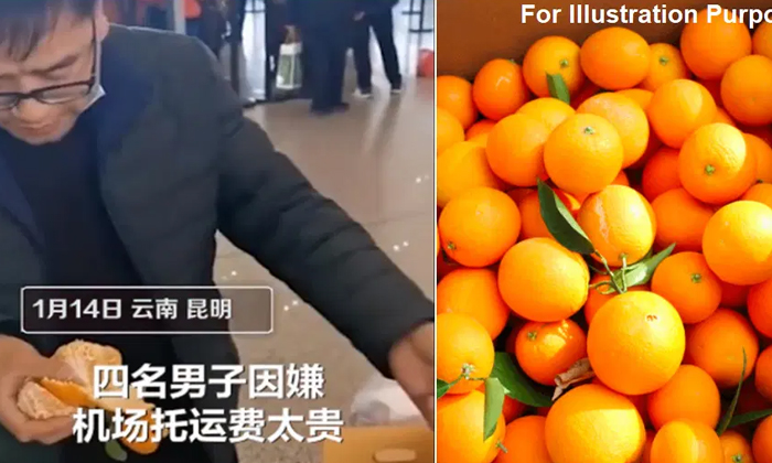  That Is Why A Person Who Ate Thirty Kilos Of Oranges In Half An Houroranges, Chi-TeluguStop.com