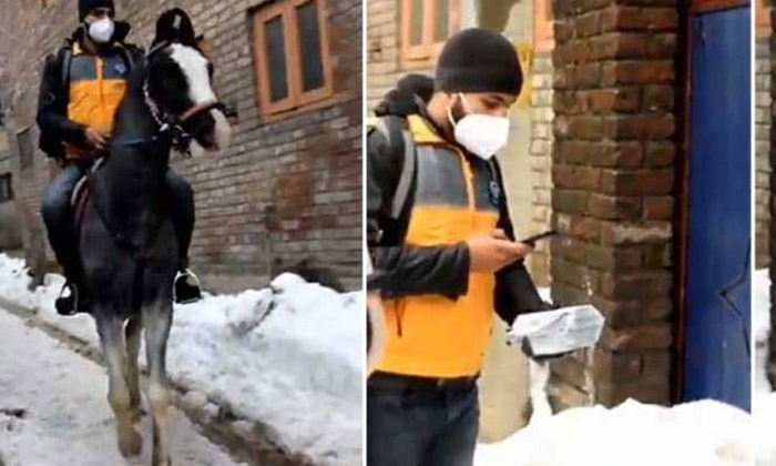  Viral Video Delivery Boy Riding A Horse And Making Deliveries, Delivery Person,-TeluguStop.com