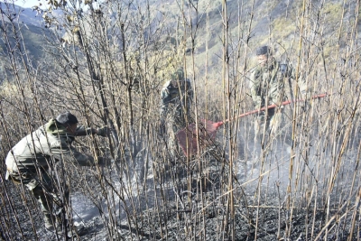  Dzukou Valley Wildfire ‘almost Under Control’, Efforts To Continue-TeluguStop.com