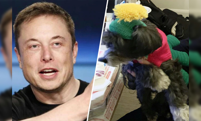  Elon Musk Tweet Blows Up The Share Value Of Etsy Company, Elon Mask, Viral Tweet-TeluguStop.com