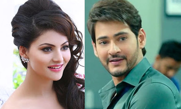 Telugu Item, Mahesh Babu, Pushpa, Urvashi Rautela-Movie