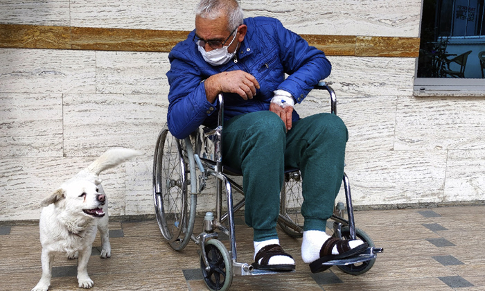  Pet Dog Waited At A Hospital For Days To Meet Sick Owner , Pet Dog ,turkey, Hosp-TeluguStop.com