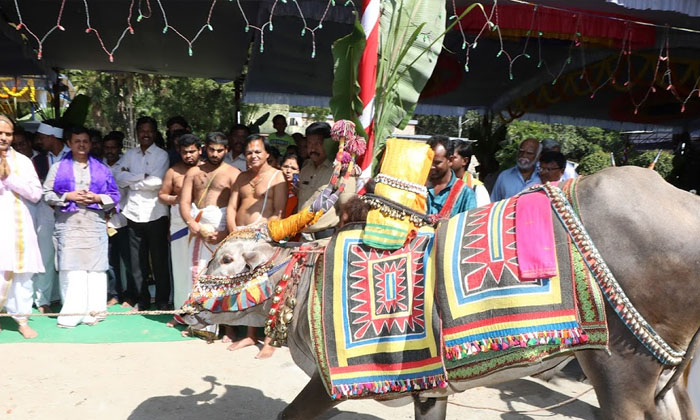 Telugu Hens, Hindu Festival, Kanuma, Sankranthi Day-Telugu Bhakthi