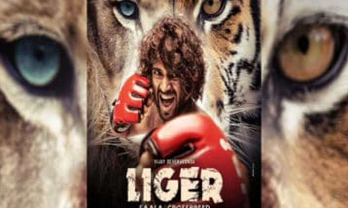  Vijay Devarakonda Movie Liger Release Date Leaked , Ananya Pande, Charme Kour, L-TeluguStop.com