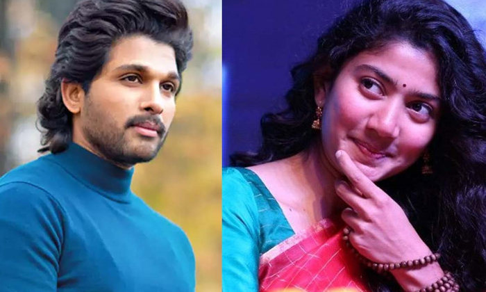  Sai Pallavi Play Allu Arjun Sister Role In Pushpa Movie,tollywood,sukumar,pushpa-TeluguStop.com