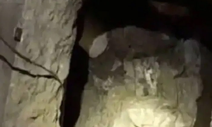  Viral The Boyfriend Who Dug A Tunnel Into His Girlfriends House, Tunnel, Lover,-TeluguStop.com