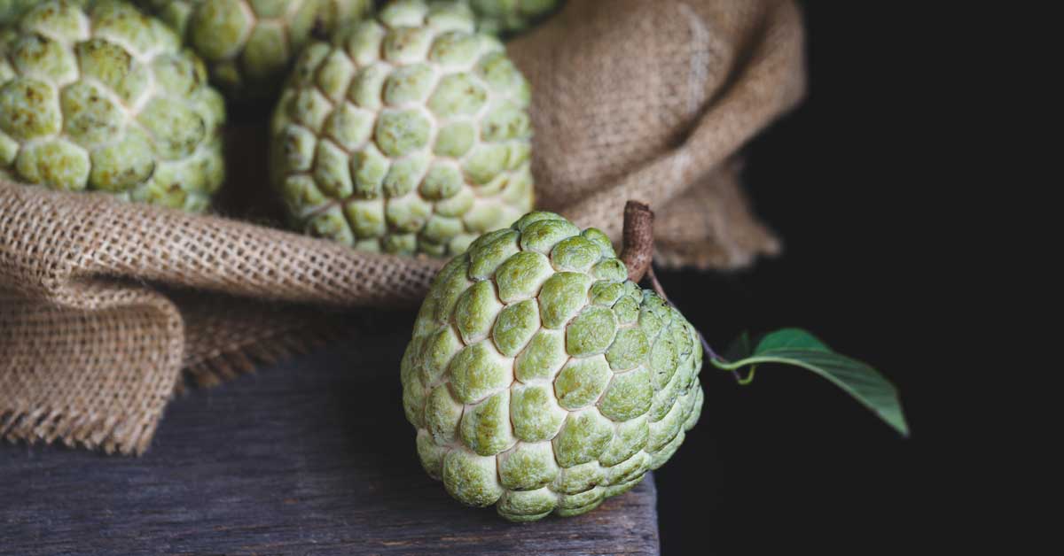  Custard Apple Tree Before Home, Vasthu Principles, Custard Apple, Home, Hindhu R-TeluguStop.com