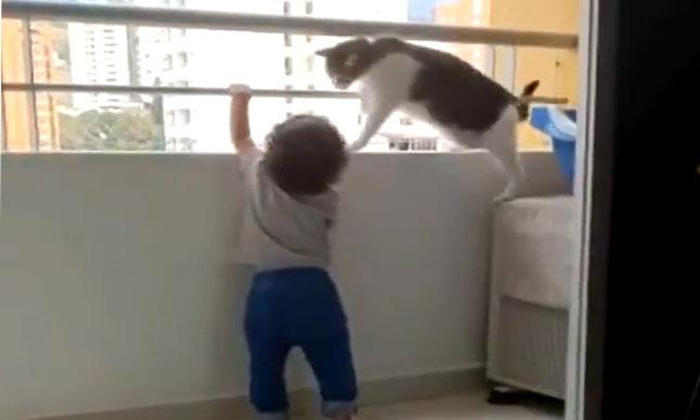  Viral Video Cat Takes Responsibility Of A Child, Pet Cat, Year Old Child, Balcon-TeluguStop.com