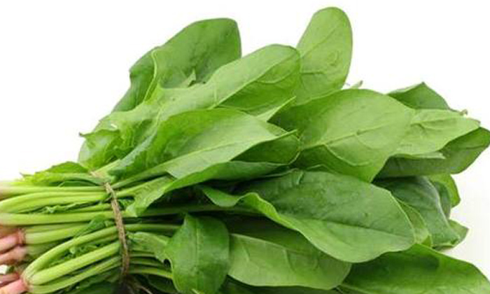  Spinach Leaves Juice Help To Lose Weight! Spinach Leaves Juice, Lose Weight, Wei-TeluguStop.com