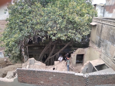  300-yr-old Banyan Tree In Chandni Chowk Awaits Saviours-TeluguStop.com