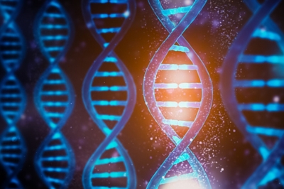  64 Full Human Genomes Sequenced At High-res-TeluguStop.com