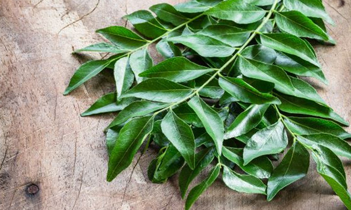  Does Curry Have That Power,curry Leaves, Health Care, Health Benefits, Health Ti-TeluguStop.com