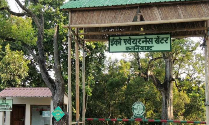  Tickling Tree Moving Branches And Leaves With Just A Touch, Dudhwa Tiger Reserve-TeluguStop.com