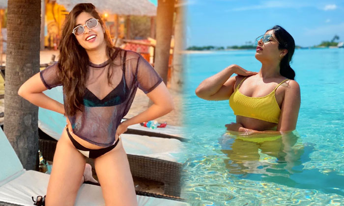 Hot Pictures Of Actress Nikita Sharma Shake Up The Show Social Media-telugu Actress Photos Hot Pictures Of Actress Nikit High Resolution Photo