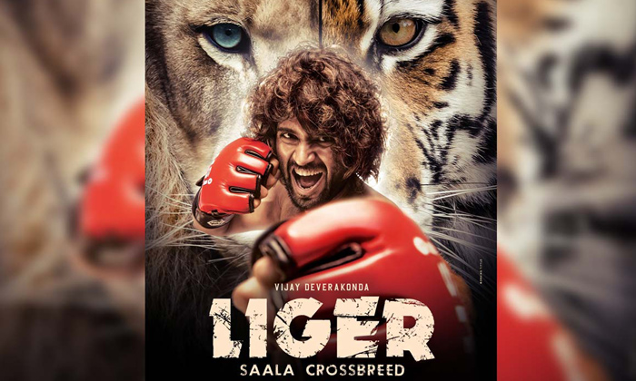  ‘liger’ Release Date To Be Out Tomorrow-TeluguStop.com