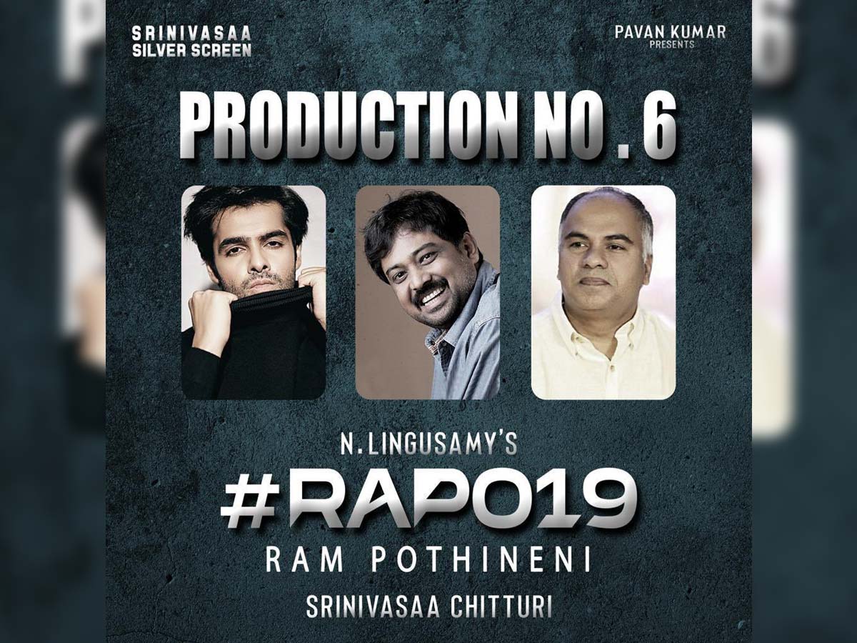  Official: Ram Pothineni To Work With Lingusamy For A Bilingual-telugu And Tamil-TeluguStop.com