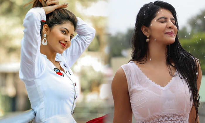 Tollywood Gorgeous Beauty Athulyaa Ravi Latest Photoshoot-telugu Actress Photos Tollywood Gorgeous Beauty Athulyaa Ravi  High Resolution Photo