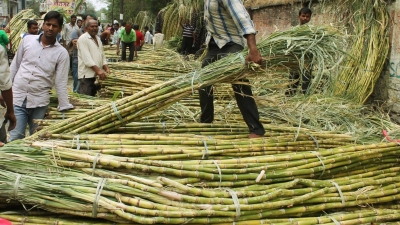  ‘addressing Sugarcane Farmers’ Concern To Help Party’-TeluguStop.com