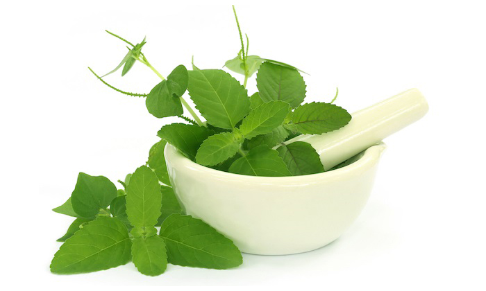  Basil Leaves Help To Reduce Blackness On Elbows! Basil Leaves, Reduce Blackness-TeluguStop.com