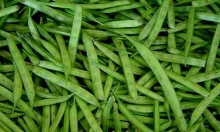 Telugu Benefitscluster, Cluster Beans, Goruchikkudu, Tips, Latest-Latest News -