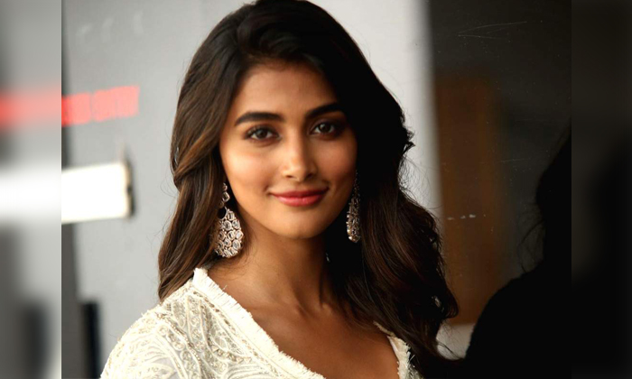  Do You Know What Pooja Hegde Is Doing With All Her Tollywood Earnings, Pooja Heg-TeluguStop.com