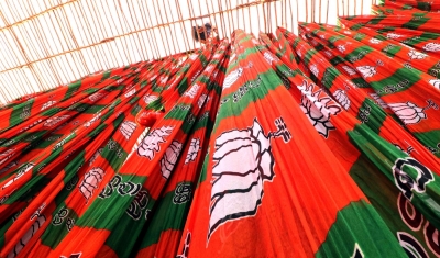  It’s A Saffron Surge In Gujarat’s Six Civic Bodies(roundup)-TeluguStop.com