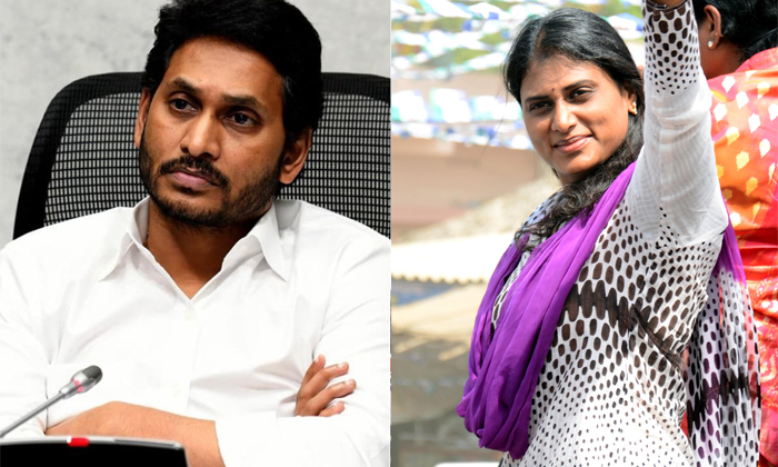  Who Is Behind Sharmila Political Entry In Telangana, Ys Sharmila, New Political-TeluguStop.com