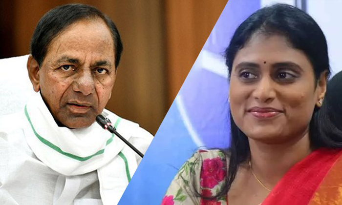 Telugu Jagan, Game, Sharmila, Telangana, Ys Sharmila-Telugu Political News