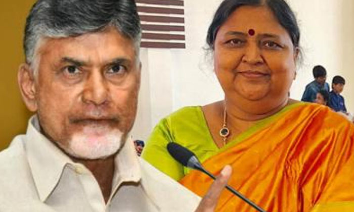 Telugu Ap, Gurumurthy, Latest, Candi, Tirupathi-Telugu Political News