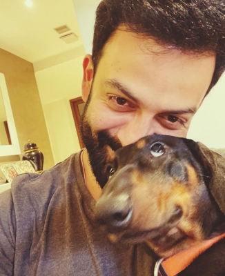  Prithviraj’s Pet Dog Has An ‘eye’ For Wonky Photo-op!-TeluguStop.com