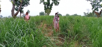  Women To Have Ownership Of House In Rural Up-TeluguStop.com