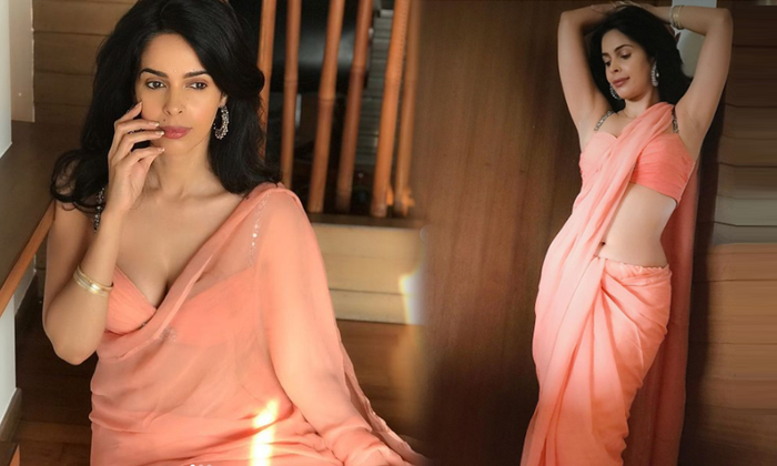 Atress Mallika Sherawat Awesome Clicks-telugu Actress Photos Atress Mallika Sherawat Awesome Clicks - Atressmallika High Resolution Photo