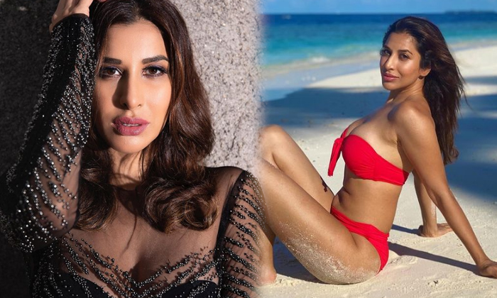 Bollywood Actress Sophie Choudry Hot Images-telugu Actress Photos Bollywood Actress Sophie Choudry Hot Images - Actresss High Resolution Photo