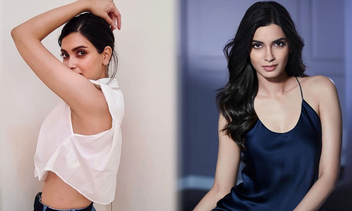 Bollywood Actress Diana Penty Gorgeous Pictures-telugu Trending Latest News Updates Bollywood Actress Diana Penty Gorgeo High Resolution Photo