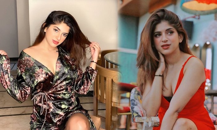 Bollywood Model And Actress Priya Singh Beautiful Clicks  - Boillywoodhot Hotactress Tvpriya Priya Singh Hot High Resolution Photo