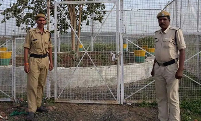  Huge Security To Protect That Tree Because,  Buddha, Bodhi Tree, Government Of M-TeluguStop.com