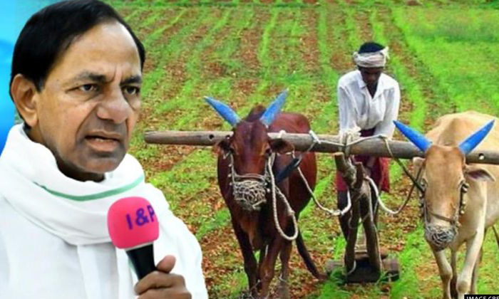  Telangna Cm Kcr Good News To Farmers, Kcr, Farmers, Rice, Rythu Bheema, Free Cur-TeluguStop.com