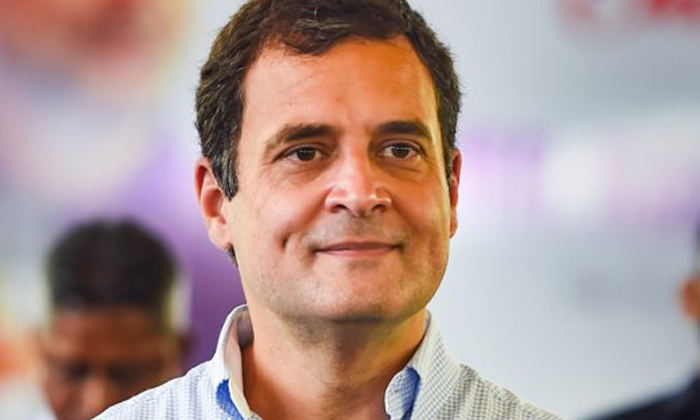  Congress Leader Rahul Gandhi Campaign In Tiunelvelli, Rahul Gandhi Cooks Biryani-TeluguStop.com