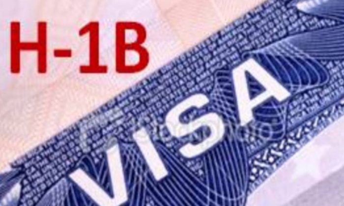  Joe Biden Not Yet Decided H1b Visa ,h1b Visa, Donald Trump, Joe Biden, H1b Visa-TeluguStop.com