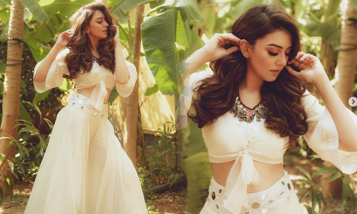 Hansika Motwani Glamorous And Latest Hd Images-telugu Actress Photos Hansika Motwani Glamorous And Latest Hd Images - Ac High Resolution Photo