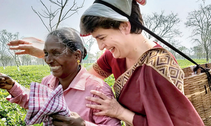  Priyanka Gandhi  Plucking Tea Leaves In Assam During Campaign, Priyanka Gandhi-TeluguStop.com